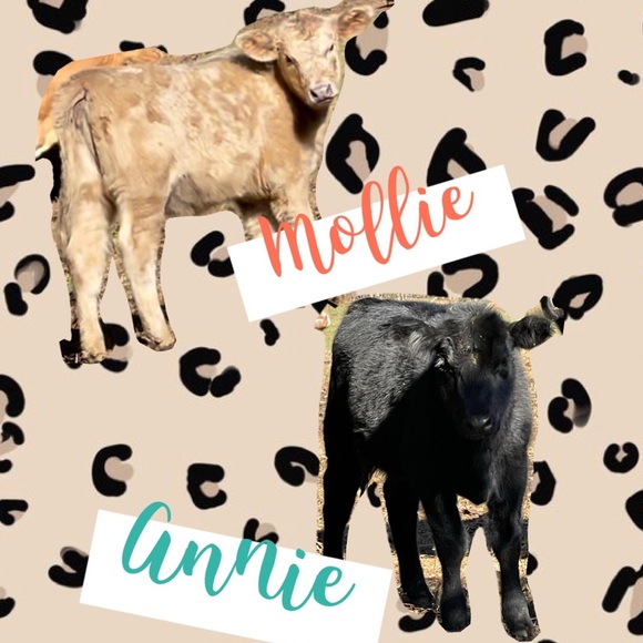 ✨✨MEET ME✨✨ - Picture 4 of 9